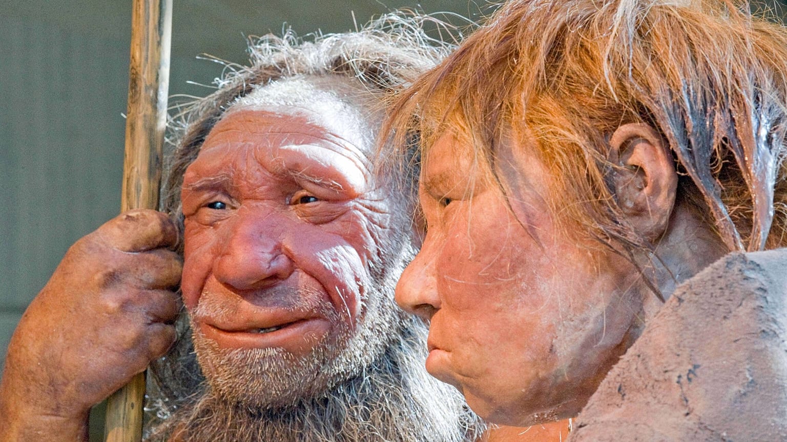 FILE: Reconstructions of a Neanderthal man, left, and woman at the Neanderthal museum in Mettmann, Germany, March 2009 