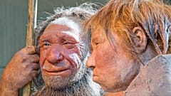 DATEI: Rekonstruktionen eines Neandertalers, links, und einer Frau im Neanderthal Museum in Mettmann, Deutschland, März 2009 