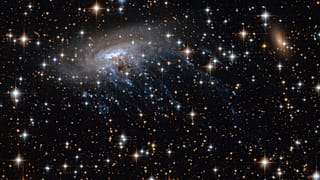 The spiral galaxy ESO 137-001, seen here in an image from Hubble, is an example of a “jellyfish” galaxy