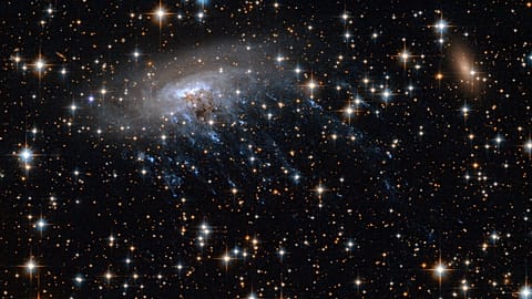 The spiral galaxy ESO 137-001, seen here in an image from Hubble, is an example of a “jellyfish” galaxy