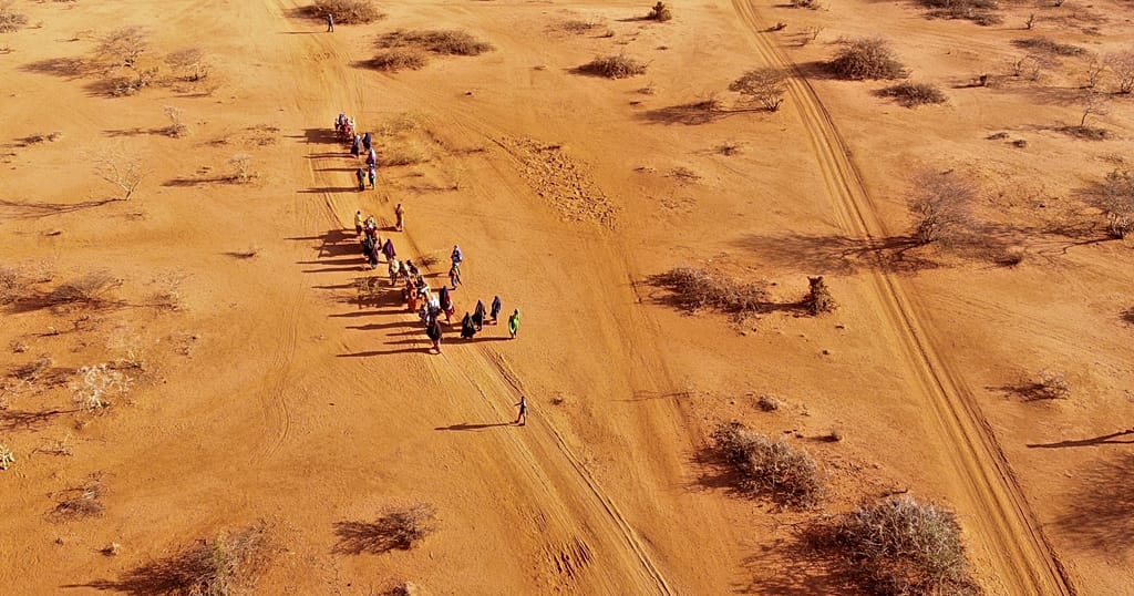 Somalia's drought leaves 6.5 million on brink of hunger crisis, says ICRC
