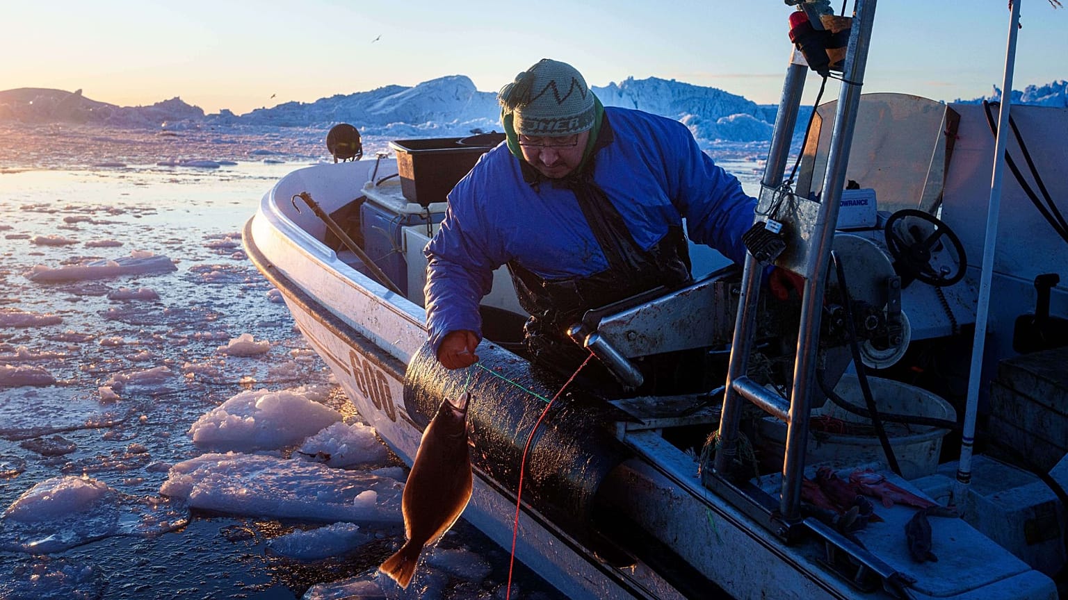 A fisherman catches halibut at Disko Bay near Ilulissat, Greenland, on Wednesday, Jan. 28, 2026. 