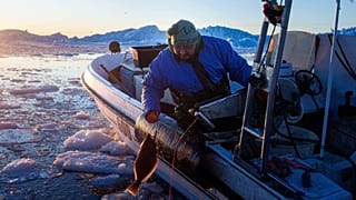 A fisherman catches halibut at Disko Bay near Ilulissat, Greenland, on Wednesday, Jan. 28, 2026. 