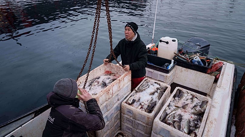 Fishermen unload boxes with fish from a boat at the harbor of Nuuk, Greenland, on Thursday, Jan. 22, 2026. 