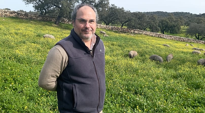 Jesús García Sánchez cria porcos 100 % ibéricos alimentados com bolota