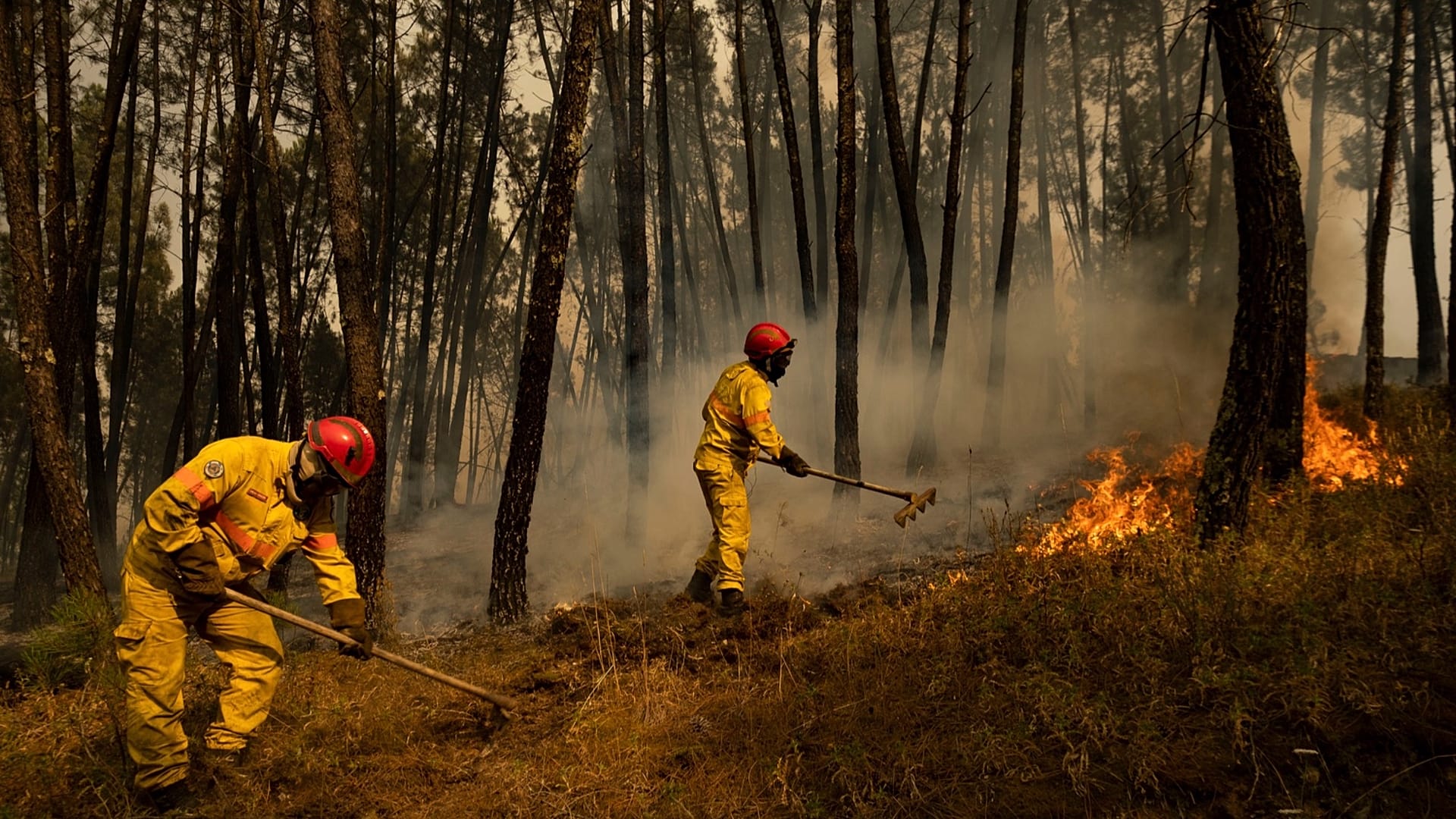 Bombeiros tentam apagar um incêndio florestal na aldeia de Chaveira, perto de Mação, no centro de Portugal, segunda-feira, 22 de julho de 2019