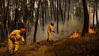 آتش‌نشانان روز دوشنبه ۲۲ ژوئیه ۲۰۱۹ در روستای شاویرا نزدیک ماکاو در مرکز پرتغال برای مهار یک آتش‌سوزی جنگلی تلاش می‌کنند.