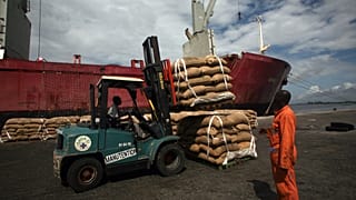 La Côte d’Ivoire réduit de près de 60 % le prix du cacao payé aux producteurs