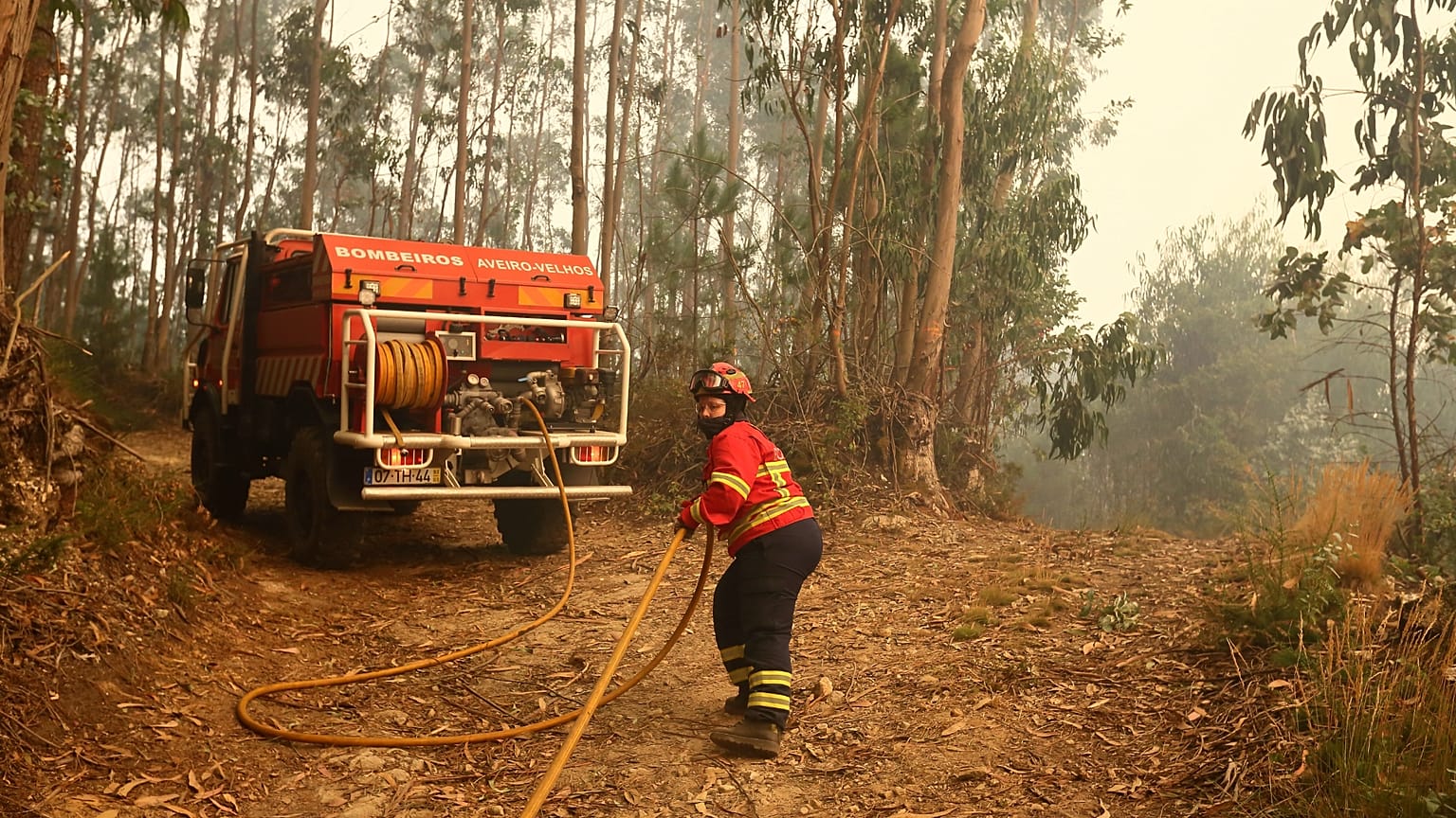 Bombeiro no combate ao fogo em Sever do Vouga. 18 de setembro de 2024. 