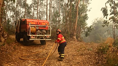 ARQUIVO - Um bombeiro puxa uma mangueira enquanto trabalha para extinguir um incêndio numa floresta de eucaliptos nos arredores de Sever do Vouga