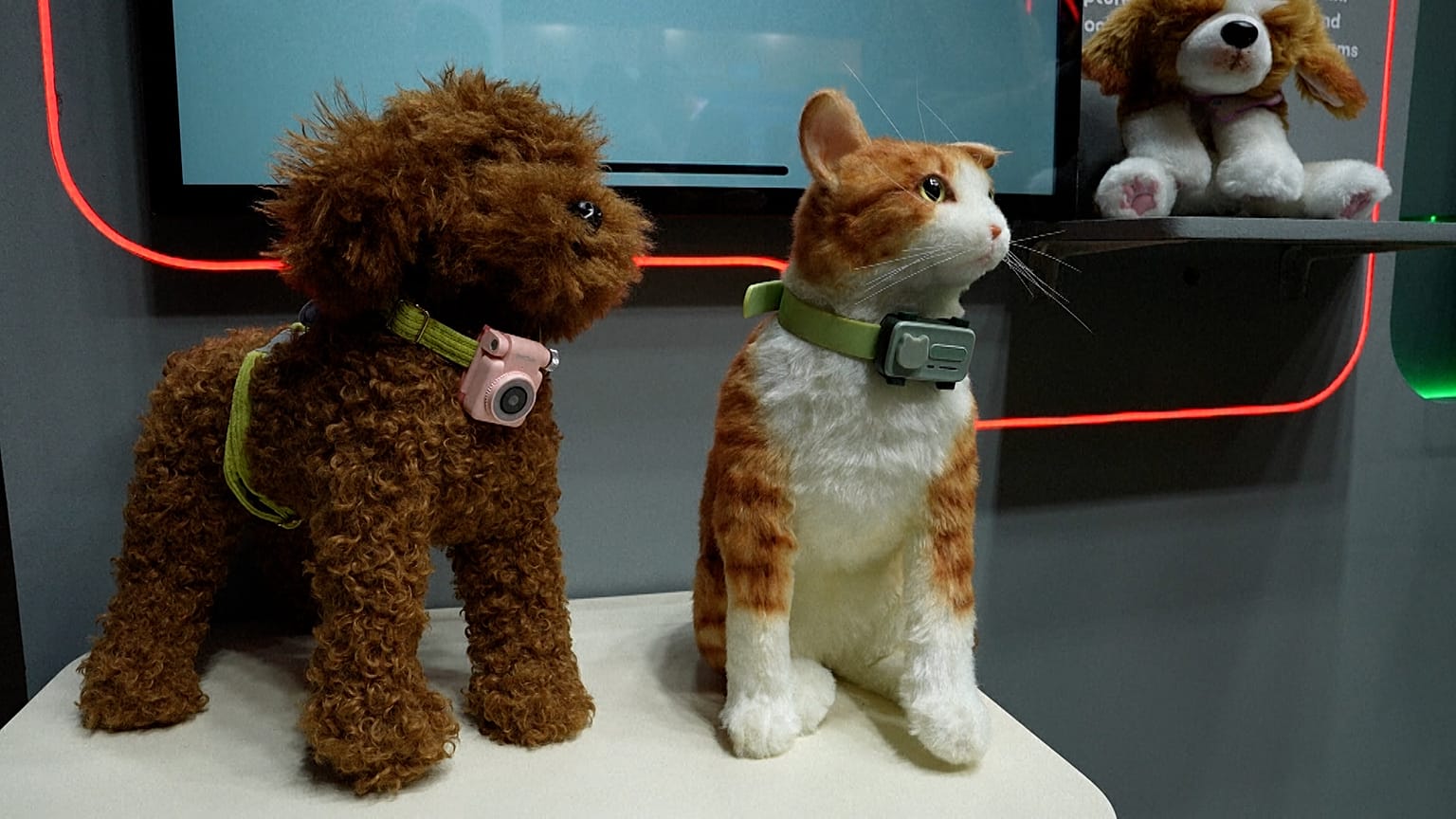 Η φορετή συσκευή επιτρέπει στους ιδιοκτήτες να ελέγχουν μέσω GPS την τοποθεσία και την κατάσταση κίνησης του κατοικιδίου τους.