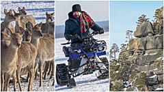 Abenteuer und uralte Legenden in den schneebedeckten Wäldern Burabays