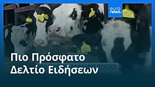 Ειδήσεις | 6 Μαρτίου 2026 - Μεσημβρινό δελτίο