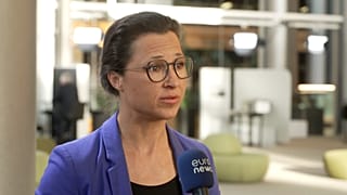 Hannah Neumann, MEP (The Greens/EFA)