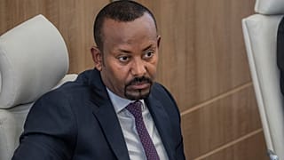 Ethiopia does not want war: PM