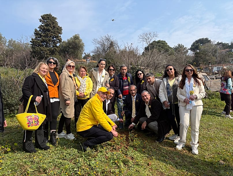 Marta Koyu'nda ekilen mimozalar.