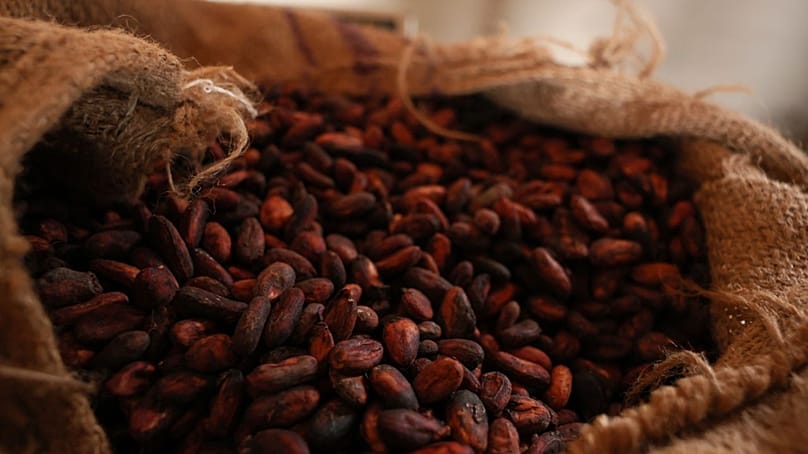 Cocoa beans are seen in a storage facility in Kona, Ghana, Friday, March 6, 2026.