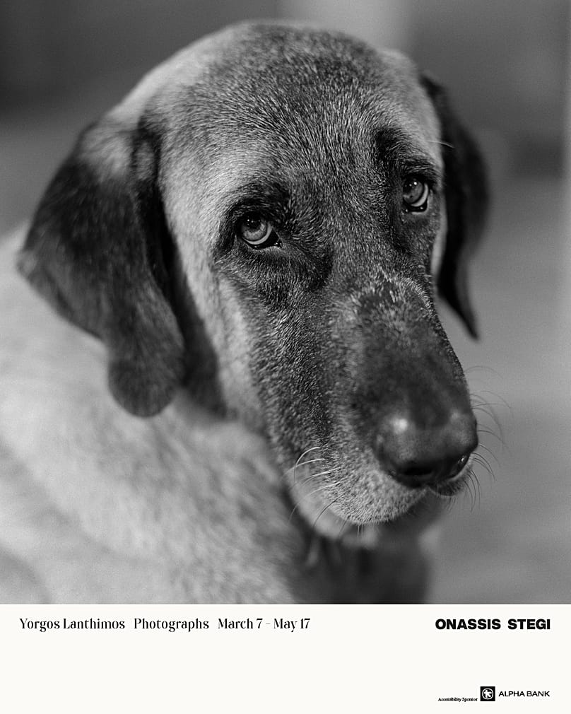 «Γιώργος Λάνθιμος: Photographs»