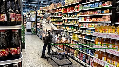 فایل - زنی هنگام خرید در یک فروشگاه مواد غذایی در ویلینگ، ایلینوی، ایالات متحده، قیمت ها را بررسی می کند. 19 ژانویه 2024.