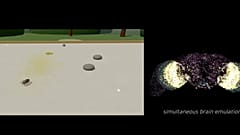 Araştırmacıların yayınladığı, dijital sineği gösteren video.