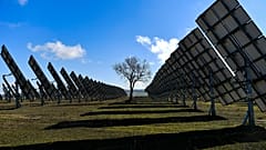 ARŞİV - İspanya'nın kuzeyindeki Navarra bölgesindeki Los Arcos'ta bir ağacı çevreleyen güneş panelleri, 24 Şubat 2023 Cuma.