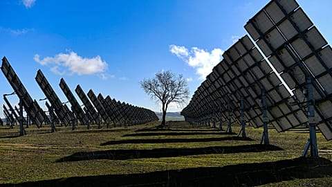 FILE - A tree is surrounded by solar panels in Los Arcos, Navarra Province, northern Spain, Friday, Feb. 24, 2023. 