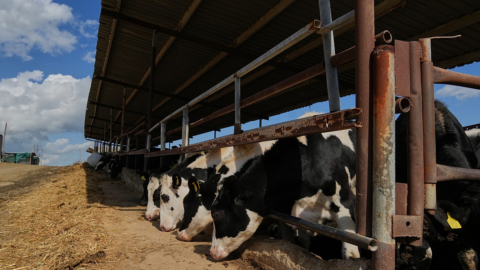 Архивное фото