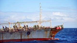 L'Afrique du Sud saisit 4 navires de pêche chinois