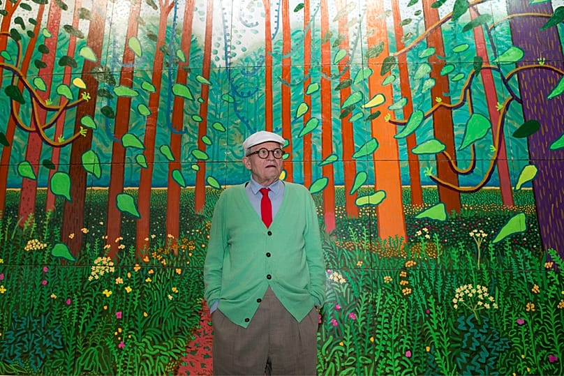 British painter David Hockney poses during the unveiling of a huge painting he is donating to the Pompidou Center in Paris in 2017.