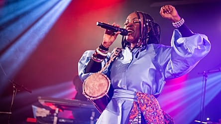 Echoes of Africa : Zily fait rayonner les cultures mahoraises [Podcast]