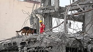 İran'ın başkenti Tahran'daki bir konut enkazında bir görevli ve arama kurtarma köpeği arama çalışmalarını sürdürüyor, 12 Mart 2026.
