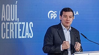 Alfonso Fernández Mañueco, en un acto del partido en Burgos.