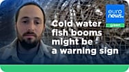 Our warming oceans are losing fish faster than we thought, warns Dr Shahar Chaikin.