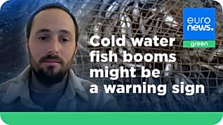 Our warming oceans are losing fish faster than we thought, warns Dr Shahar Chaikin.