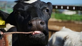 ΕΙΚΟΝΑ ΑΡΧΕΙΟΥ