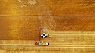 Cerca de um terço dos carregamentos mundiais de fertilizantes passam pelo Estreito de Ormuz.