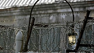 Демонстрационное фото