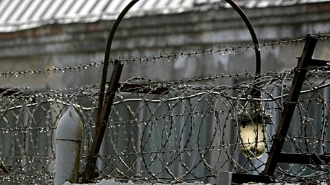 Krim-Grabungen: Polen will russischen Archäologen an Ukraine ausliefern