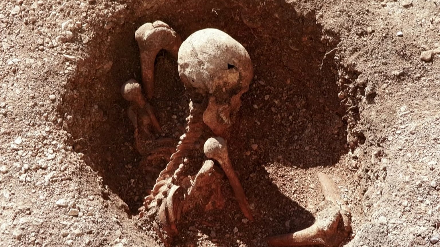 Cinq nouvelles tombes de Gaulois enterrés assis découvertes à Dijon