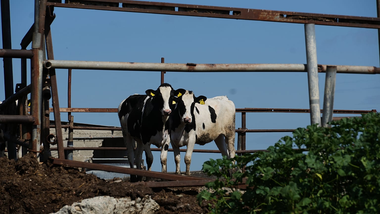 Φωτό αρχείου