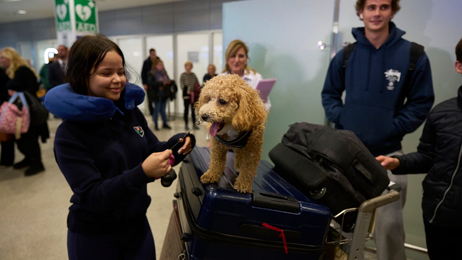 Abu Dabi'den köpeğiyle tahliye edilen bir kadın, Atina'da.