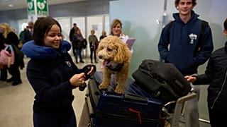 Abu Dabi'den köpeğiyle tahliye edilen bir kadın, Atina'da.
