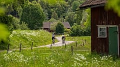 Die Radroute Ljungleden führt von Göteborg nach Falköping.