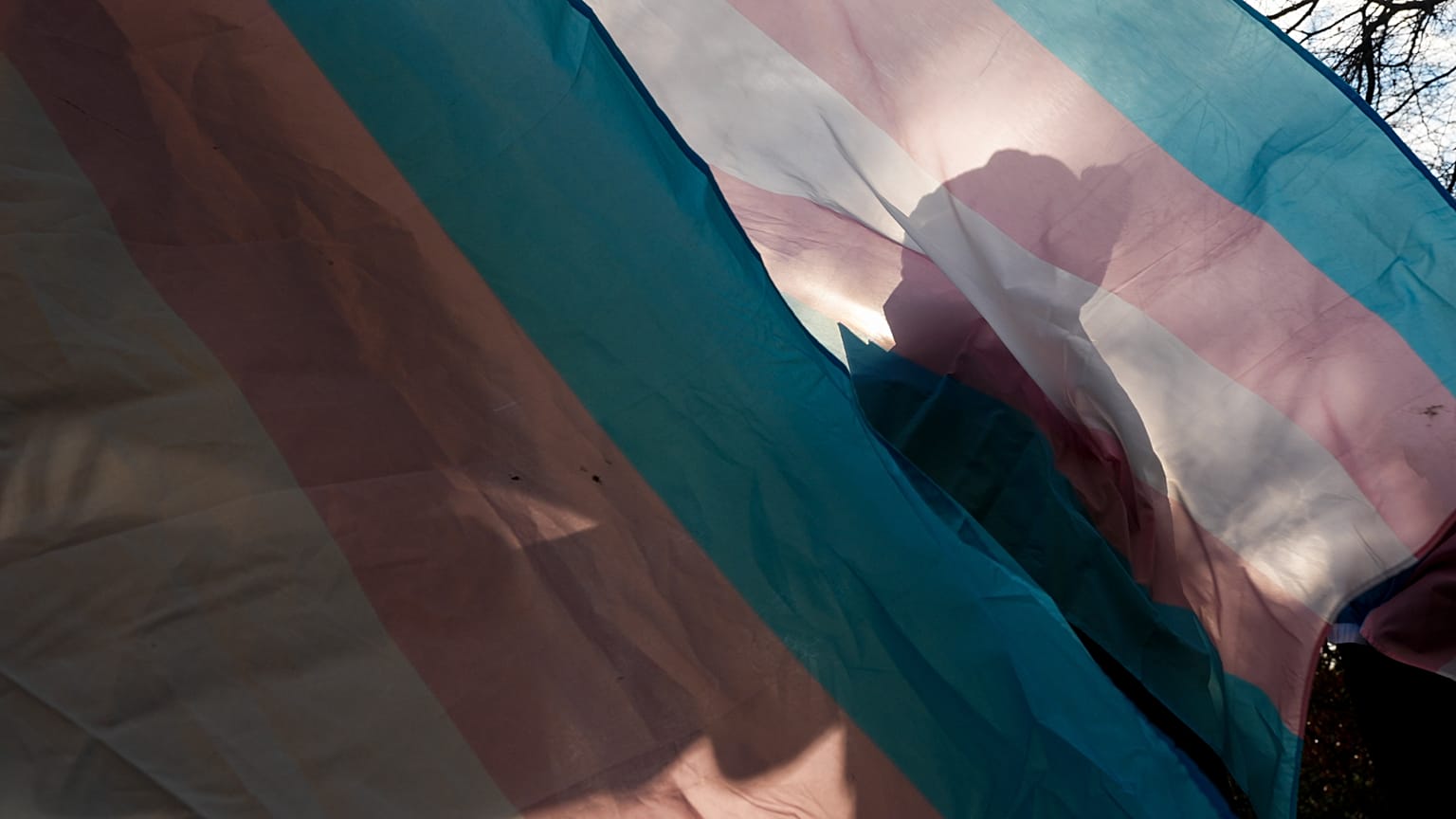 Parlament głosował w czwartek nad trzema ustawami zmieniającymi ustawę o tożsamości płciowej