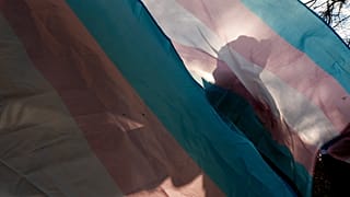 Parlamento votou esta quinta-feira três projetos-lei para alterar a lei da identidade de género