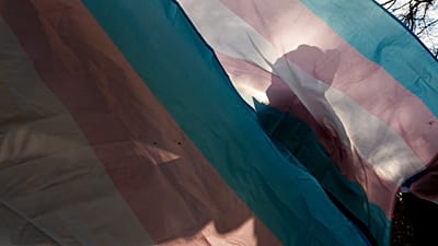 Parlamento votou esta quinta-feira três projetos-lei para alterar a lei da identidade de género