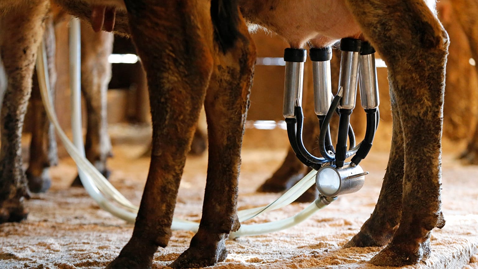 φωτό αρχείου