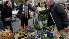 A woman shops flower ahead of the Persian New Year, or Nowruz, meaning "New Day," in northern Tehran
