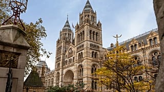 The Natural History Museum was the UK's most popular tourist attraction in 2025
