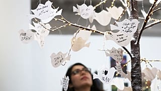 نوروز ۱۴۰۵ ایرانیان مهاجر